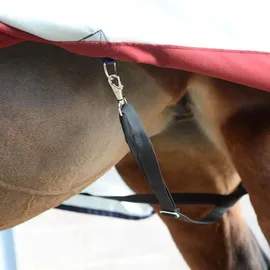 Bucas Power Turnout Light Regendecke silver 145