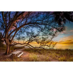Fototapete PAPERMOON "BAUM AM STRAND-MEER OZEAN BLUMEN SONNE WIESE FLORIDA", bunt, B:4,00m L:2,60m, Vlies, Tapeten