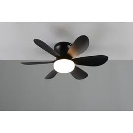 Trio Lund 53 cm Schwarz