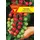 Frankonia Tomate Supersweet 100 F1
