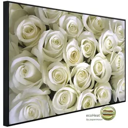 papermoon Infrarotheizung »EcoHeat - weisse Rosen«, Matt-Effekt - bunt