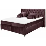 Roller Boxspringbett, aubergine - Tonnentaschenfederkern - H2, - 180x200 cm,