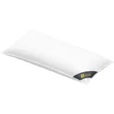SPESSARTTRAUM 3-Kammer-Kissen 40 x 80 cm Gold
