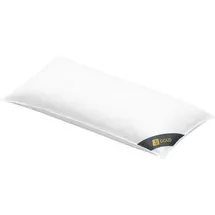 SPESSARTTRAUM 3-Kammer-Kissen 40 x 80 cm Gold