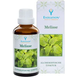 Evolution Melisse Tinktur Flüssigkeit 50 ml