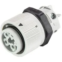 Wieland Electric 46.051.5054.0 Rundstecker Buchse, Einbau Gesamtpolzahl: 3 +