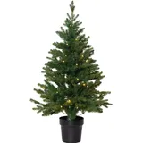 Star Trading Weihnachtsbaum