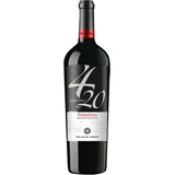 Primitivo Puglia igt 4 20 Vanille und aromatischen Kräutern 1500ml