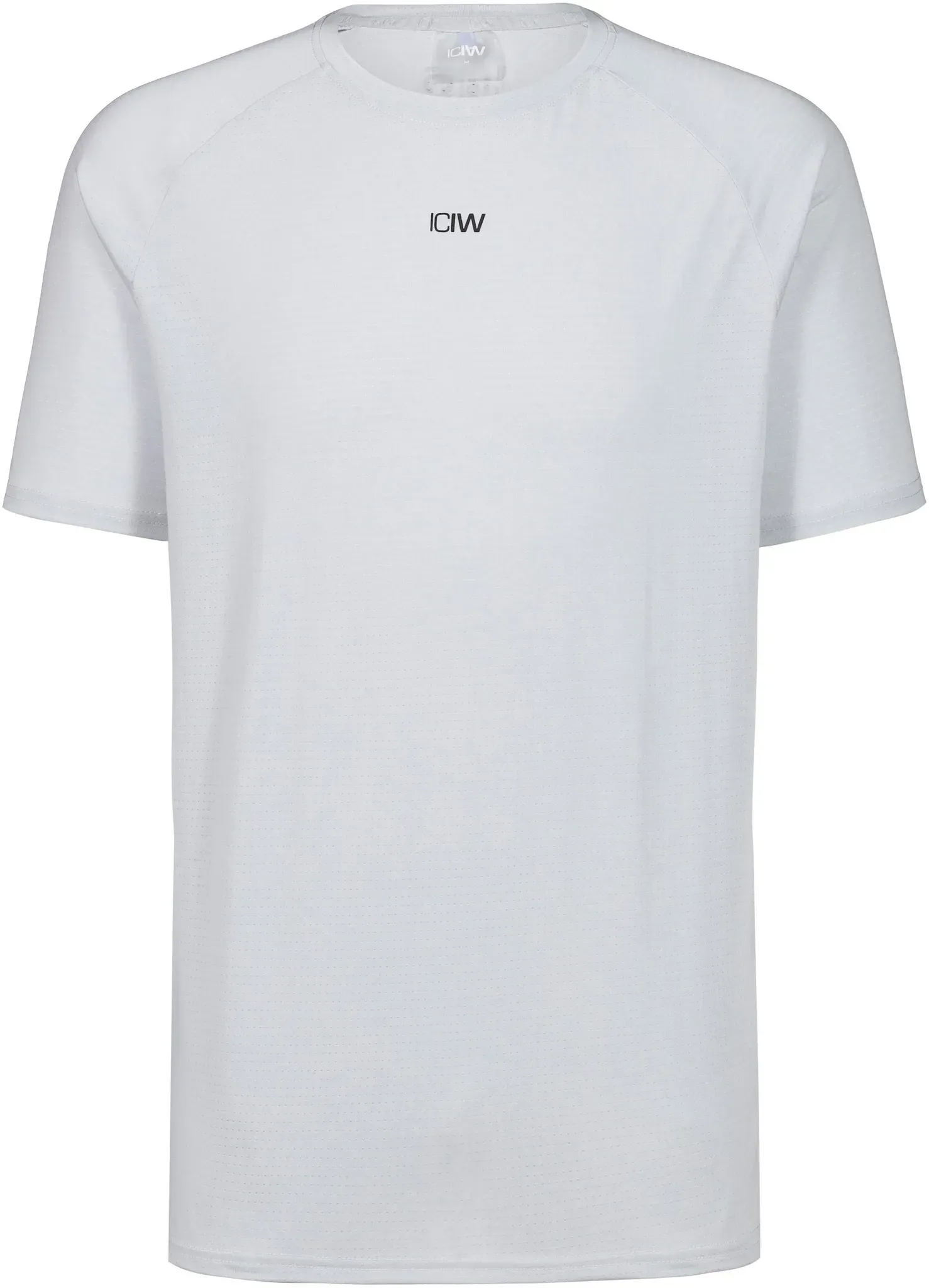 ICANIWILL Stride Funktionsshirt Herren in lunar grey, Größe M - grau