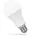Spectrum LED Leuchtmittel A60 4000K 1150
