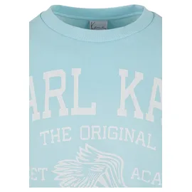 Karl Kani Rundhalspullover Blau XS