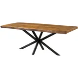 MASSIVMOEBEL24.DE Baumtisch 220 x 76 x 100 cm natur lackiert/grau