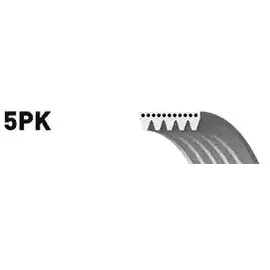 Gates 5PK848
