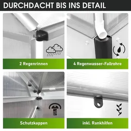 Brast Gewächshaus Aluminium Silber HKP 6 mm 5,89 m2