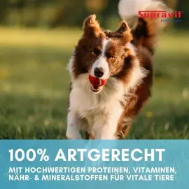 Supravit Nassfutter Wildfleisch Gemüse und Nudeln 6 x 820 g