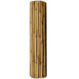 Sol Royal Sichtschutzmatte SolVision B38 150 x 250 cm bambus