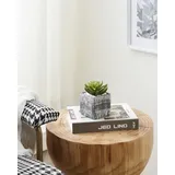 EGLO Living Kunstpflanze Chitose, künstliche Zimmerpflanze im Topf, naturgetreue Deko Pflanze für Wohnzimmer, Sukkulente aus Kunststoff in Grün und Paper Pulp in Grau, 12 cm