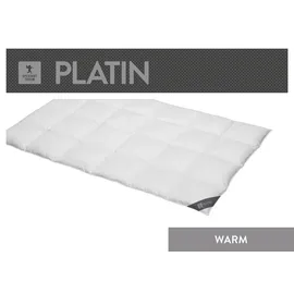 SPESSARTTRAUM Daunendecke Platin warm 100% Daunen 240x220 cm