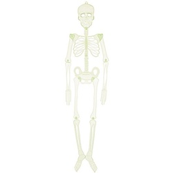Bewegliches Skelett, glow-in-the-dark, 92 cm