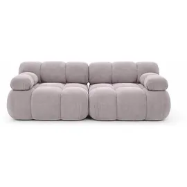 kaiser möbel Couch,, 2-Sitzer Sofa modular, Veloursstoff Salvador, Grau, Selia - Grau