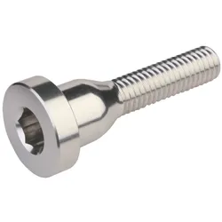 Burgtec Top Cap Bolt - Rhodium Silver