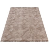 Sehrazat Teppich Amatis 6620, rechteckig, Höhe: 12 mm, Hoch-Tief-Struktur, Wohnzimmer beige 80 cm x 150 cm x 12 mm