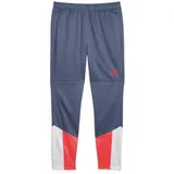 Puma Individualcup Jogginghose Blau L