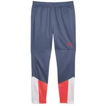 Puma Individualcup Jogginghose Blau L