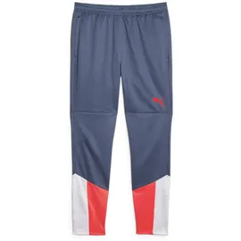 Puma Individualcup Jogginghose Blau L