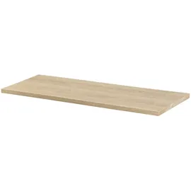 Dolle Wohnregale Regalboden Lite 60 x 20 cm 19 mm