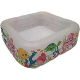Intex Aquarium Pool 159 x 159 x 50 cm