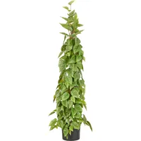 Creativ green Kunstbaum CREATIV GREEN "Philodendron scandens", grün, H:125cm, Obermaterial: 100% Kunststoff, Kunstpflanzen, in Pyramidenform