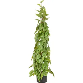 Creativ green Kunstbaum CREATIV GREEN "Philodendron scandens", grün, H:125cm, Obermaterial: 100% Kunststoff, Kunstpflanzen, in Pyramidenform