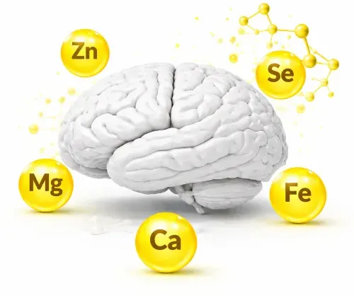 Haarmineralanalyse – Mineral-Check Complex | Mineralstoffe, Spurenelemente & Schwermetalle