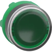 Schneider Leuchtdrucktaster 22mm Grün