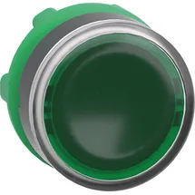 Schneider Leuchtdrucktaster 22mm Grün
