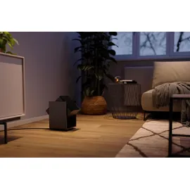 Stadler Form Heizlüfter & Ventilator Alex 2000 W mit Fernbedienung - Grau