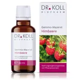 GEMMO-MAZERAT Himbeere Dr.Koll Rubus idaeus Tropf. 50 ml