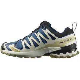 Salomon XA Pro 3D V9 GTX Herren Dark Blue/Icicle/Aloe 45 1/3