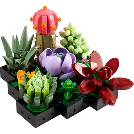 LEGO Botanicals Creator Expert Sukkulenten 10309