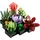 LEGO Botanicals Creator Expert Sukkulenten 10309