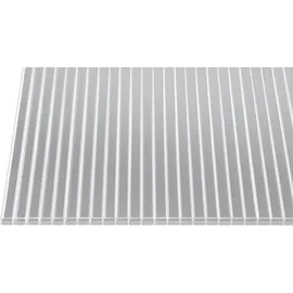 Gutta Polycarbonat-Doppelstegplatte 250 x 98 cm 16 mm klar