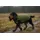 Wolters Hundebekleidung Winterjacke Amundsen olive