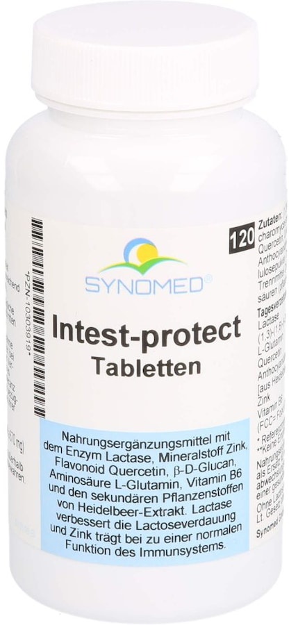 Synomed INTEST protect Tabletten Verdauung