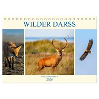 Calvendo Wilder Darß - Fuchs, Hirsch und Co. 2026