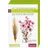 BLOOM'S Trockenblumen/Trockenfloralien
