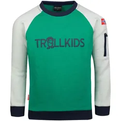 Kinder Sweatshirt Sandefjord Pfeffergrün/Wolkengrau Gr. 116 - 6 Jahre