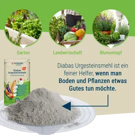 Schicker Diabas Diabas Urgesteinsmehl fein 10 kg
