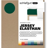 schlafgut Easy Jersey 140 x 200 - 160 x 220 cm green deep