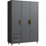 rauch Drehtürenschrank Kleiderschrank Schrank Garderobe Wäscheschrank SHINJO (in 3 verschiedenen Ausstattungen BASIC/CLASSIC/PREMIUM) Griffe und Füße aus Massivholz mit 2 Schubladen MADE IN GERMANY grau 140 cm x 203 cm x 53 cm